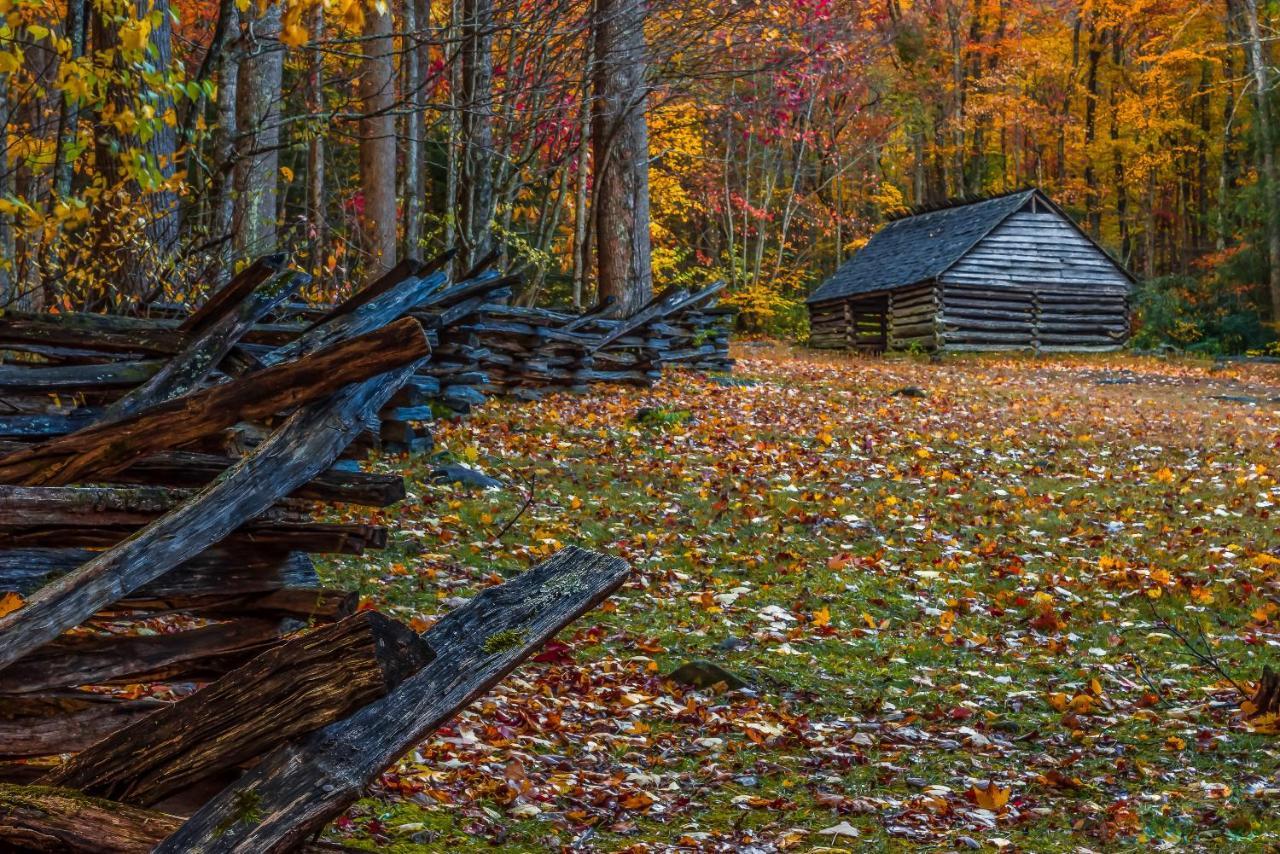 Gnome Alone Villa Sevierville Exteriör bild